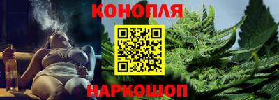 стаф Шахты
