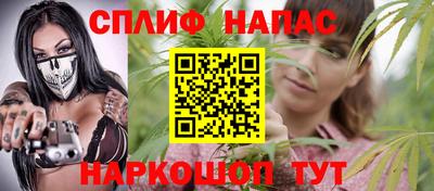 стаф Шахты
