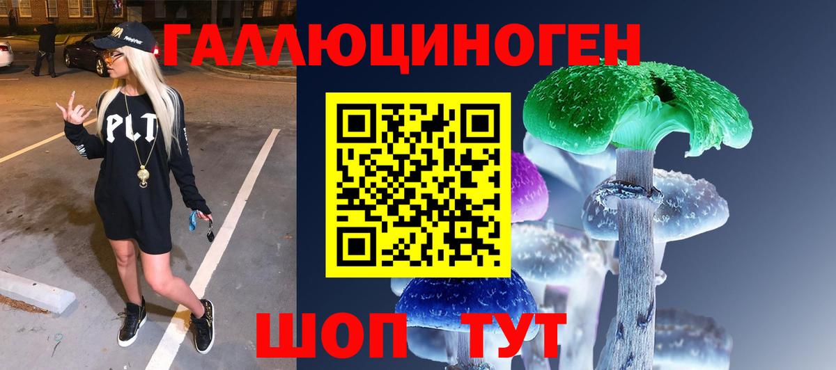 Псилоцибиновые грибы Psilocybine cubensis Соликамск